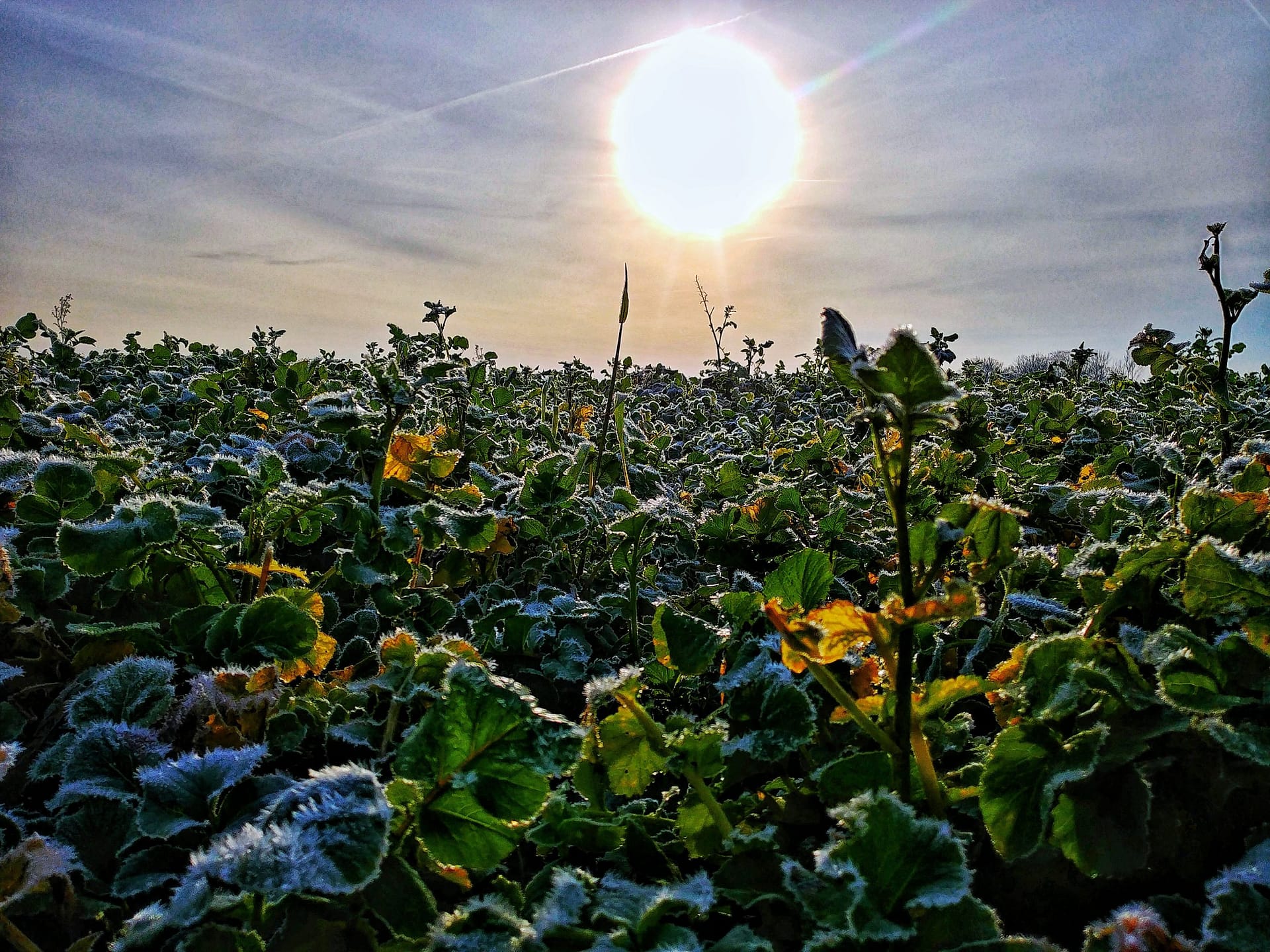 20191228_122020_HDR-01